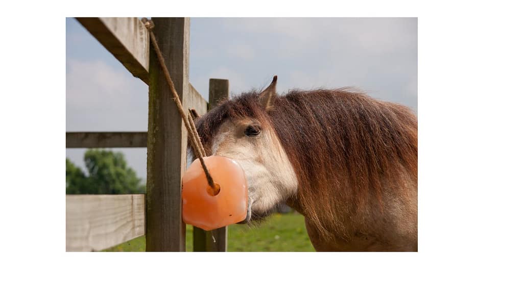 Himalayazout is meer geschikt voor gespecialiseerde voedingssuppletie terwijl zeezout meer geschikt is voor de basale voorziening