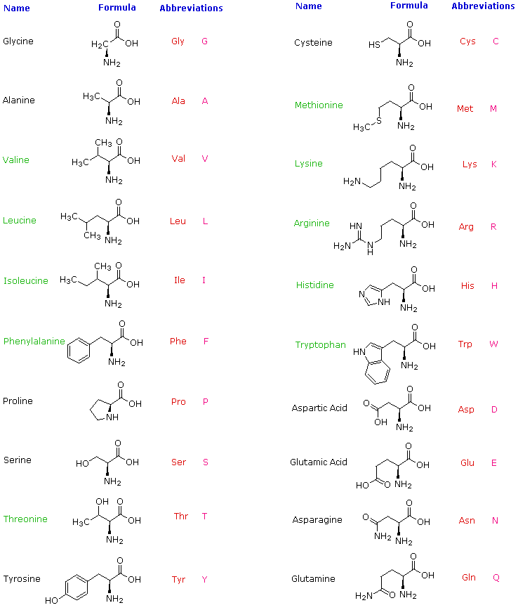 https://www2.chemistry.msu.edu/faculty/reusch/virttxtjml/proteins.htm