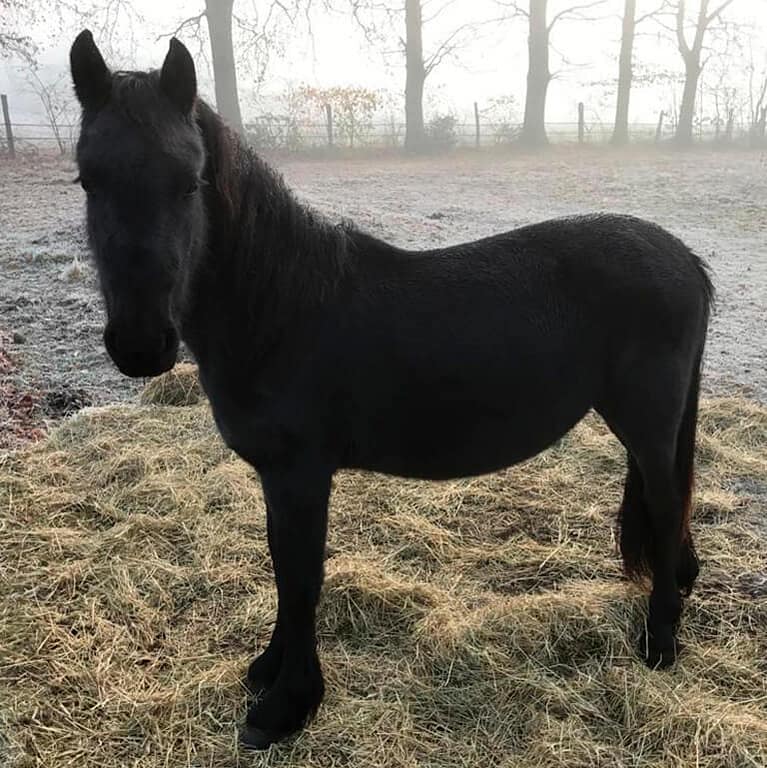 December 2016 20 months old