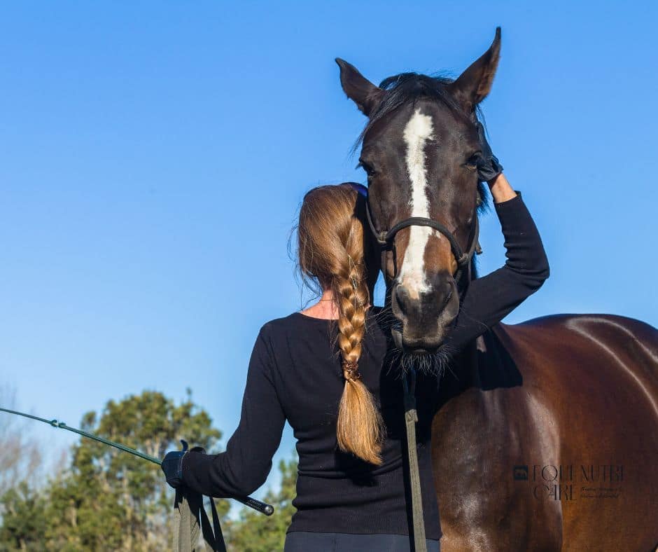 Modern horse management focuses on trust and communication between horse and rider